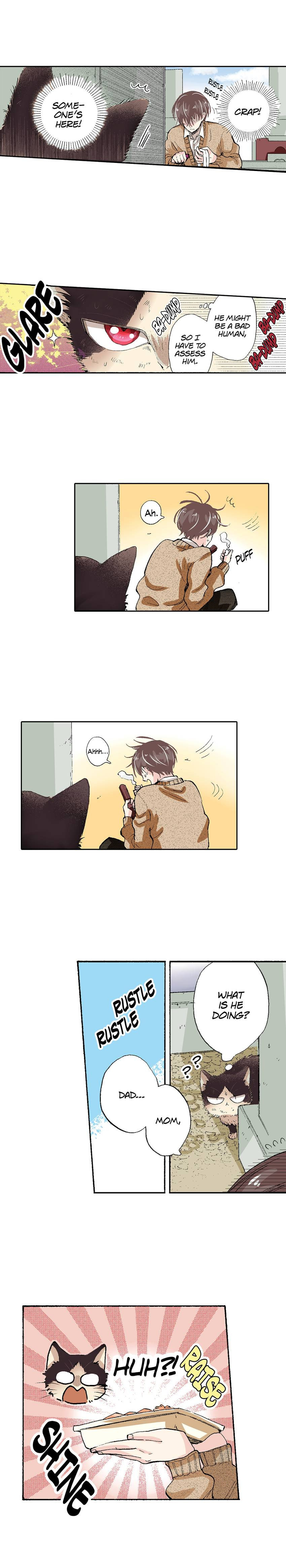 Read My Roommate is a Cat chapter 52 image 10 on Lezhin