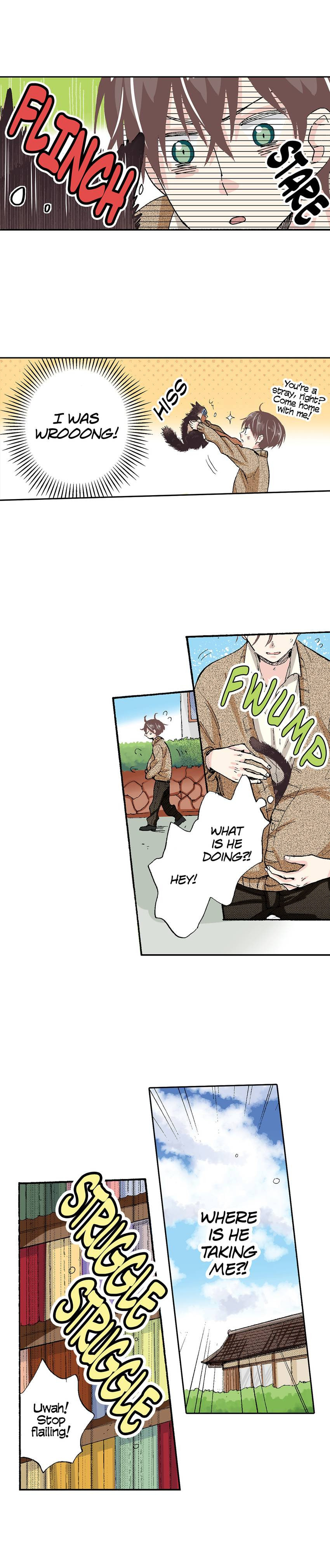 Read My Roommate is a Cat chapter 52 image 12 on Lezhin