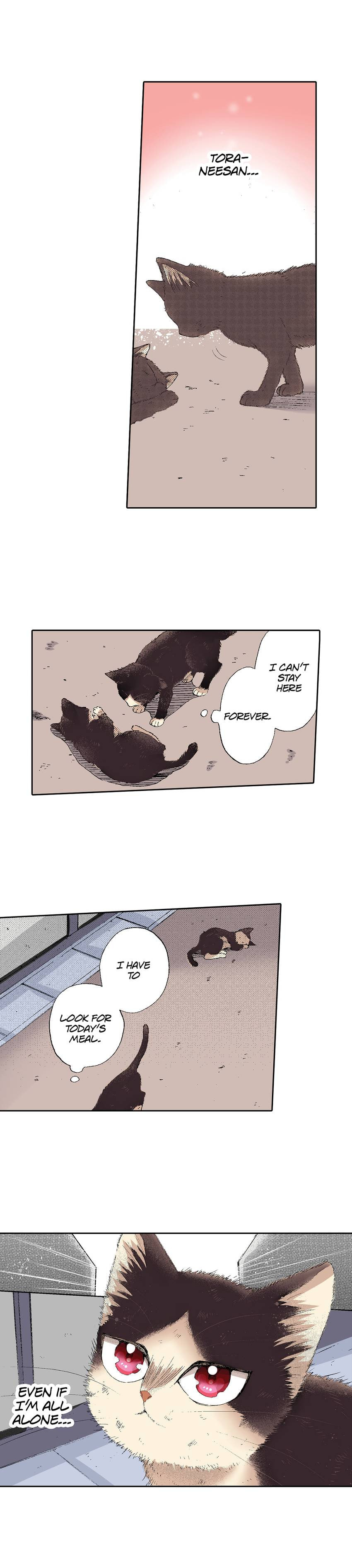 Read My Roommate is a Cat chapter 52 image 2 on Lezhin