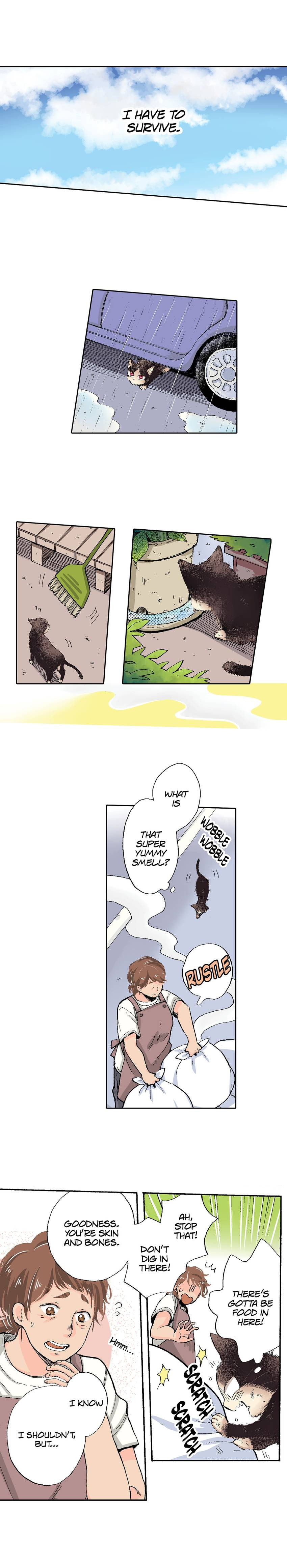 Read My Roommate is a Cat chapter 52 image 3 on Lezhin