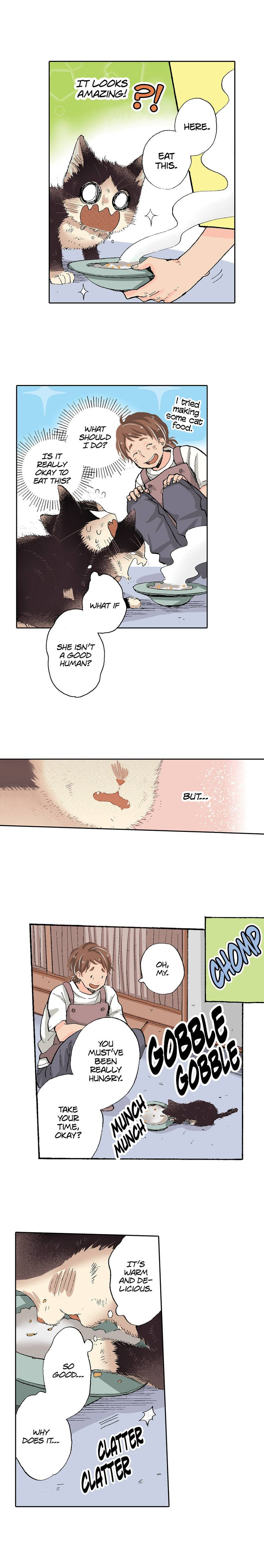 Read My Roommate is a Cat chapter 52 image 4 on Lezhin