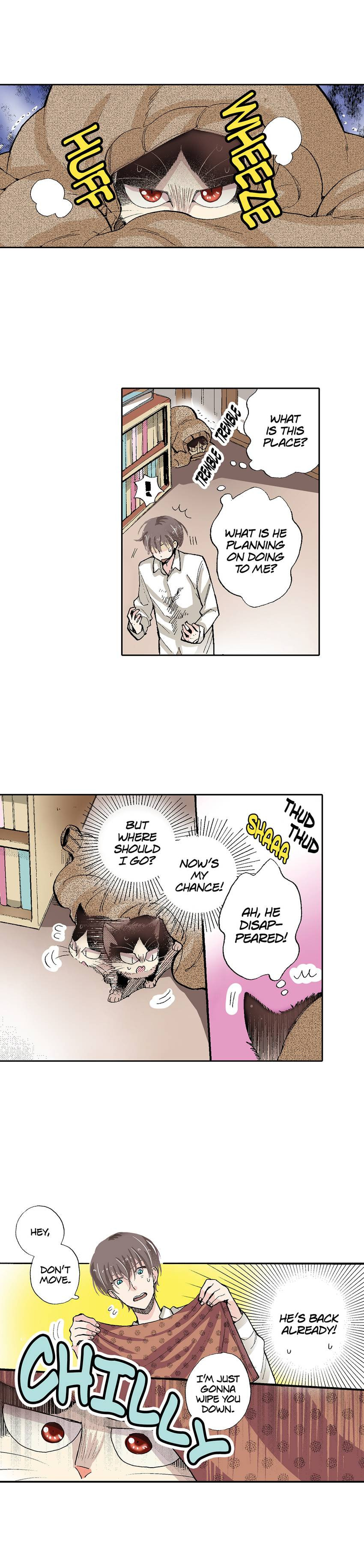 Read My Roommate is a Cat chapter 53 image 1 on Lezhin