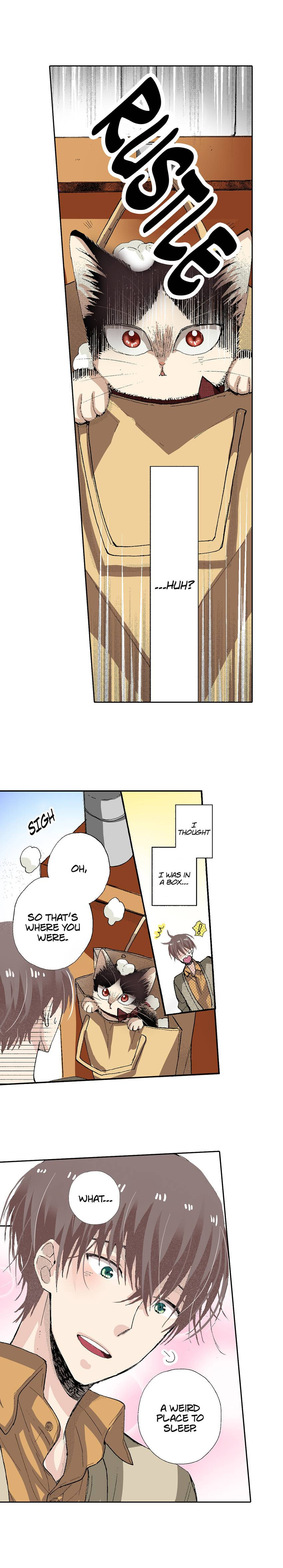 Read My Roommate is a Cat chapter 53 image 11 on Lezhin