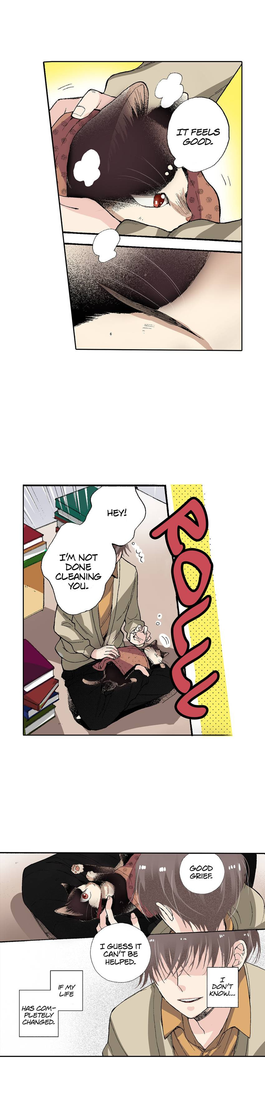 Read My Roommate is a Cat chapter 53 image 14 on Lezhin