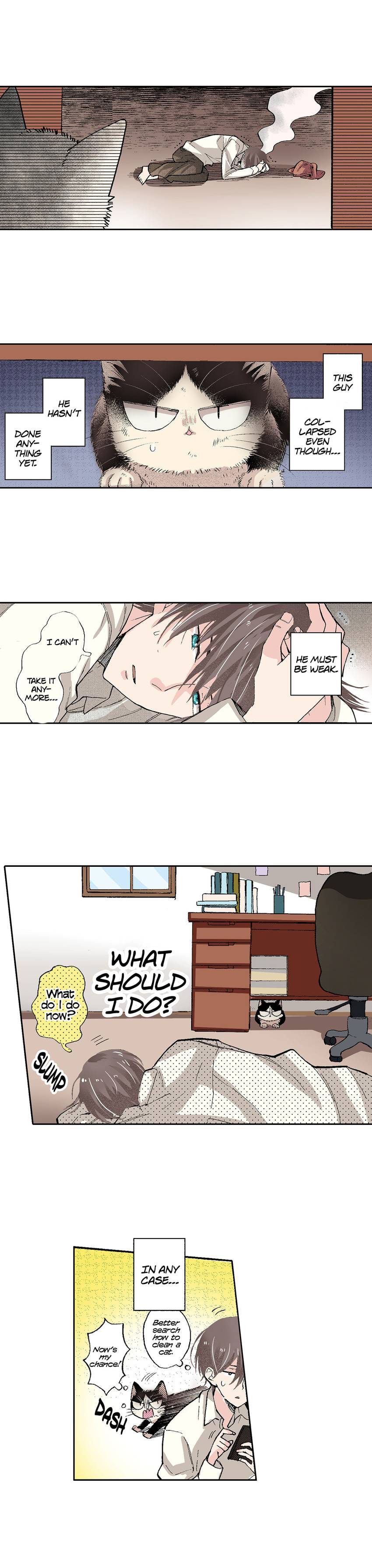 Read My Roommate is a Cat chapter 53 image 3 on Lezhin