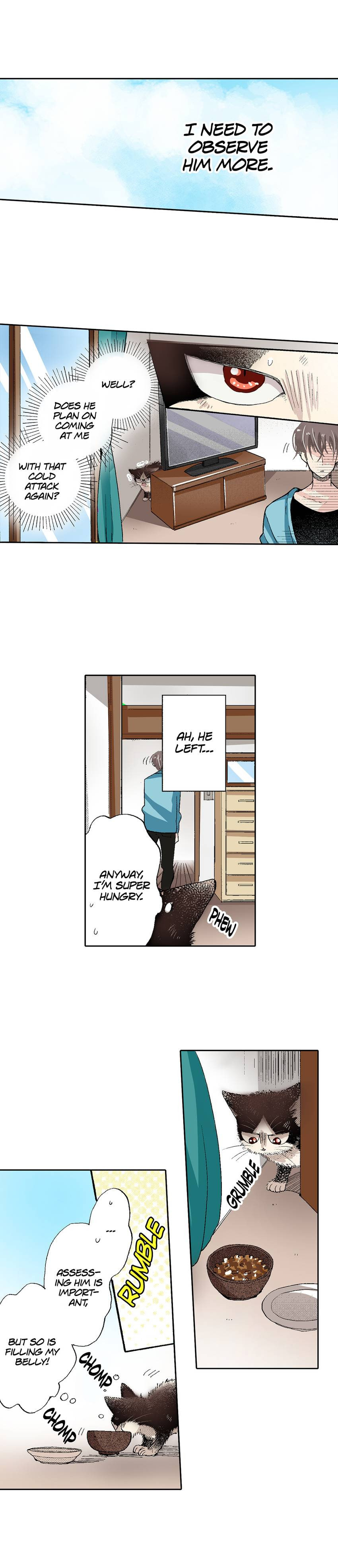 Read My Roommate is a Cat chapter 53 image 4 on Lezhin