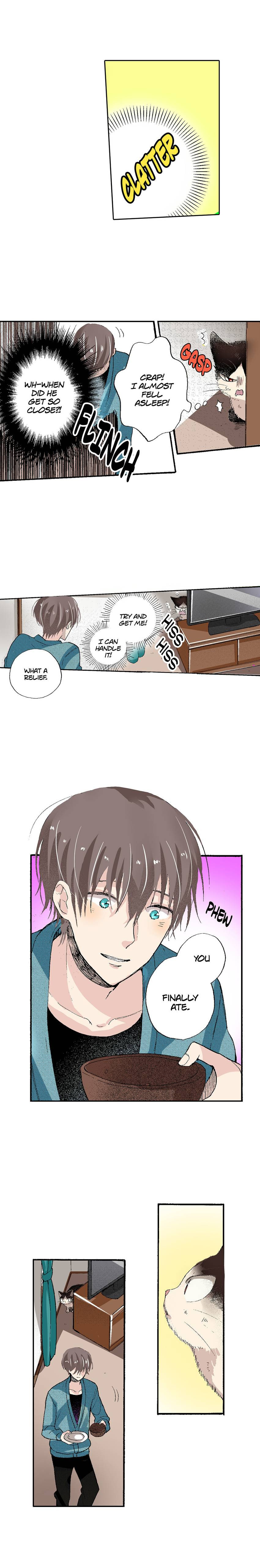 Read My Roommate is a Cat chapter 53 image 5 on Lezhin