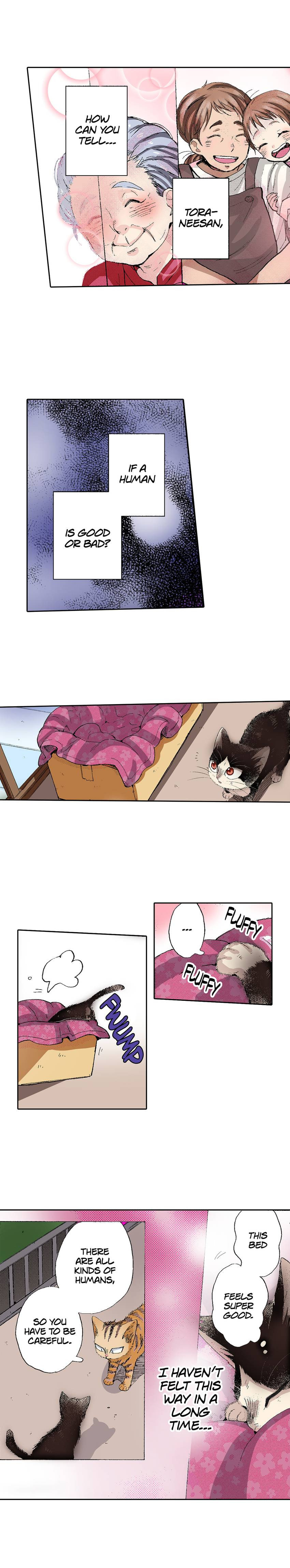 Read My Roommate is a Cat chapter 53 image 6 on Lezhin