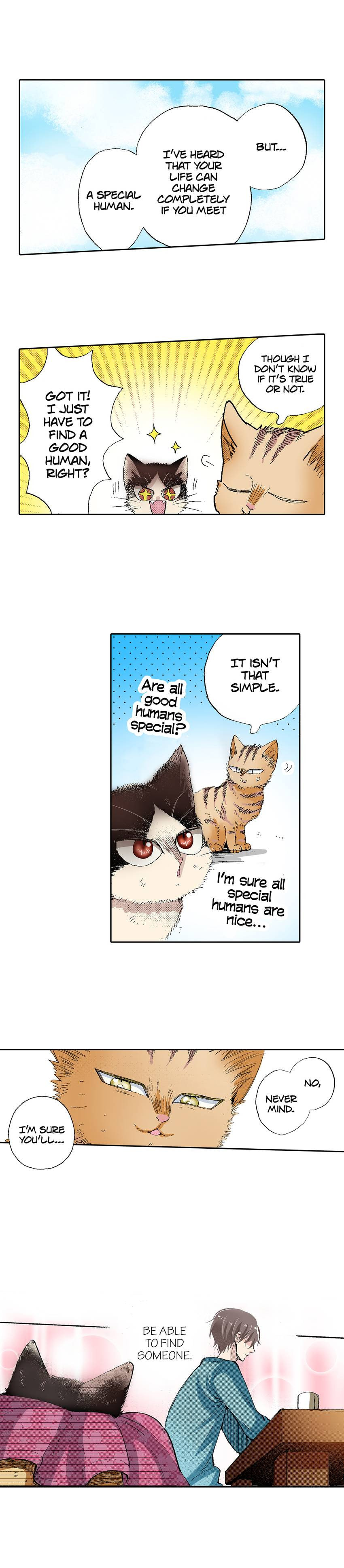 Read My Roommate is a Cat chapter 53 image 7 on Lezhin