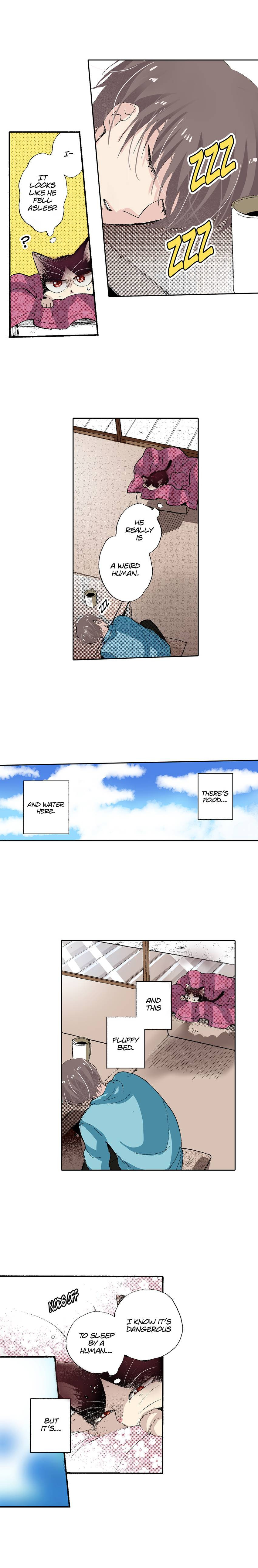 Read My Roommate is a Cat chapter 53 image 9 on Lezhin