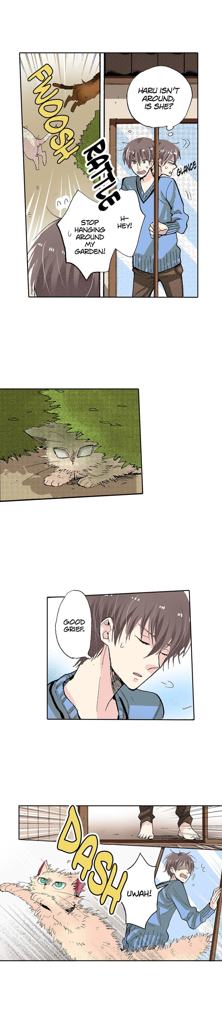 Read My Roommate is a Cat chapter 54 image 3 on Lezhin