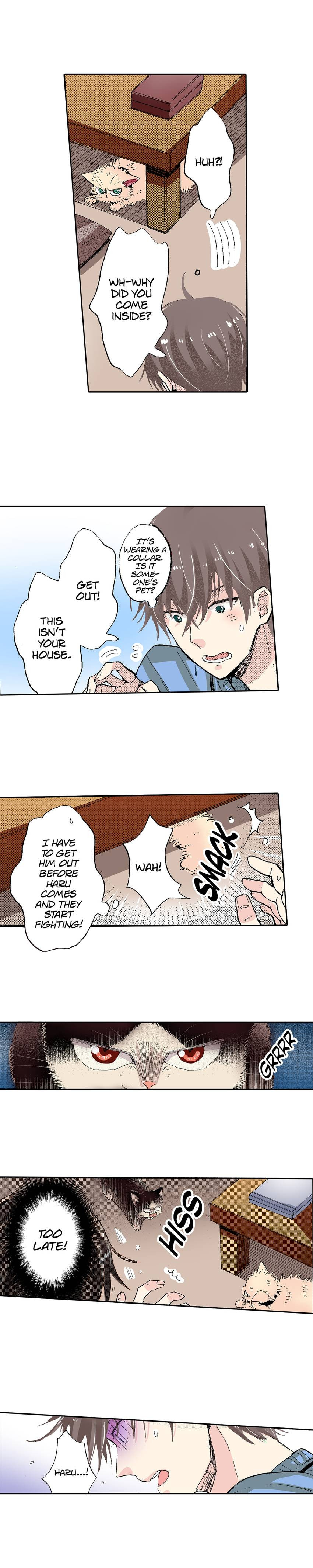 Read My Roommate is a Cat chapter 54 image 4 on Lezhin