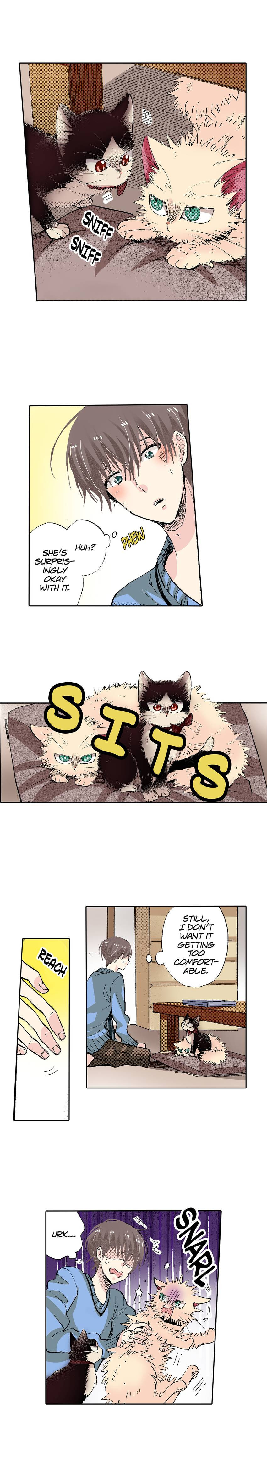 Read My Roommate is a Cat chapter 54 image 5 on Lezhin
