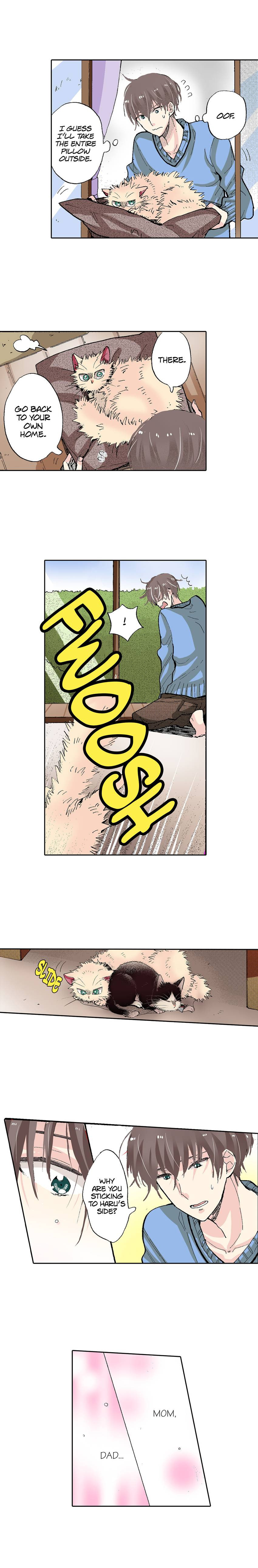 Read My Roommate is a Cat chapter 54 image 6 on Lezhin