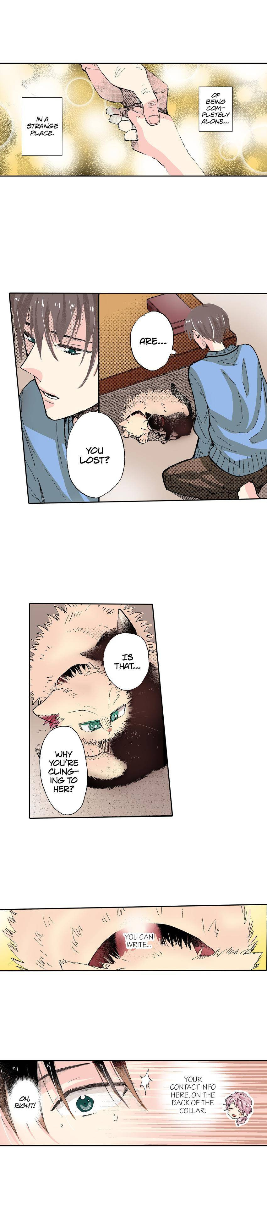 Read My Roommate is a Cat chapter 54 image 8 on Lezhin