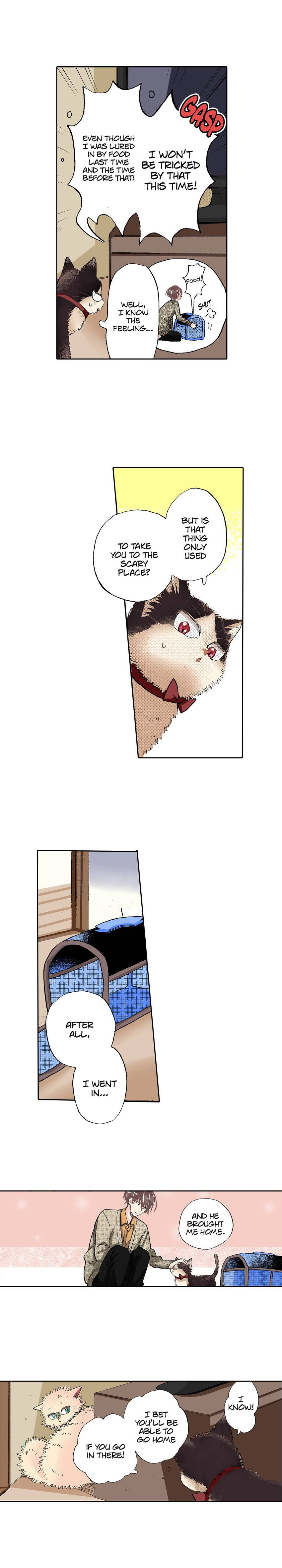 Read My Roommate is a Cat chapter 55 image 10 on Lezhin