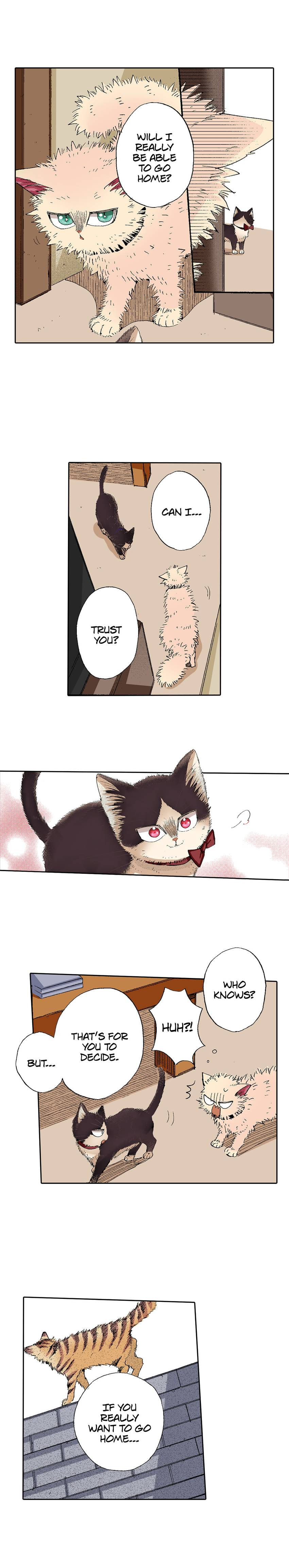 Read My Roommate is a Cat chapter 55 image 12 on Lezhin
