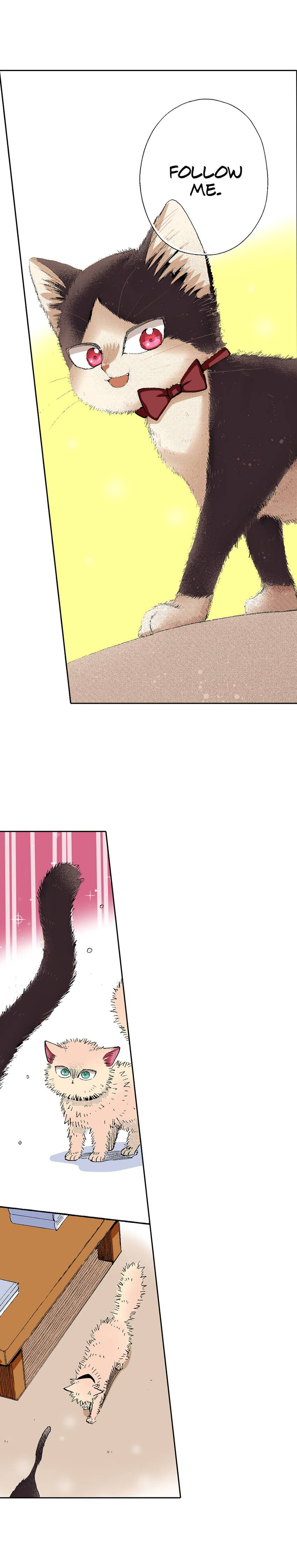 Read My Roommate is a Cat chapter 55 image 13 on Lezhin