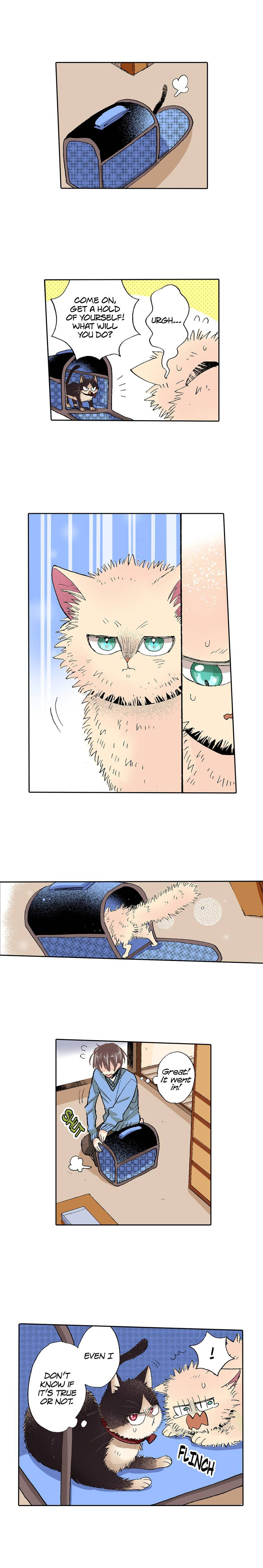 Read My Roommate is a Cat chapter 55 image 14 on Lezhin