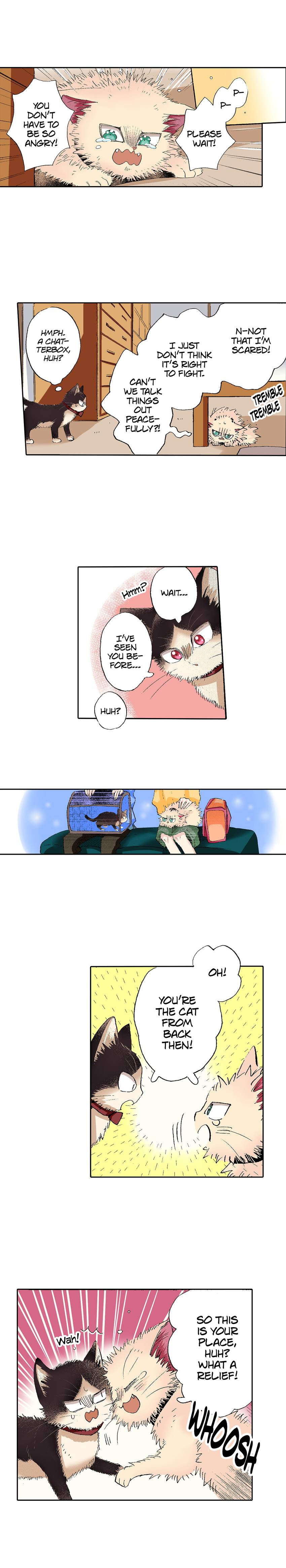 Read My Roommate is a Cat chapter 55 image 2 on Lezhin