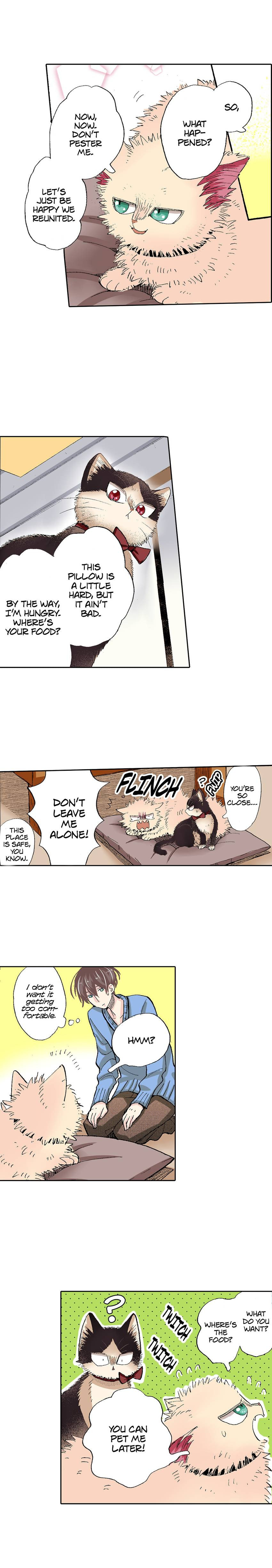 Read My Roommate is a Cat chapter 55 image 3 on Lezhin