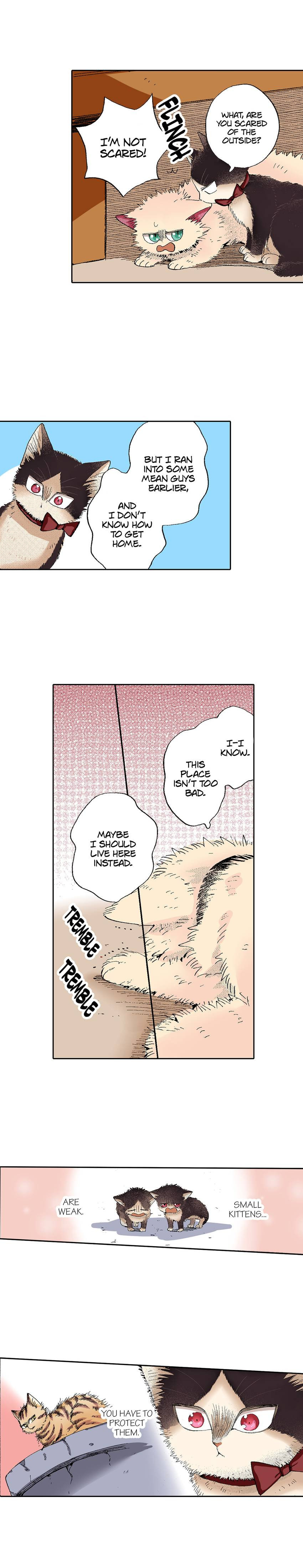 Read My Roommate is a Cat chapter 55 image 6 on Lezhin