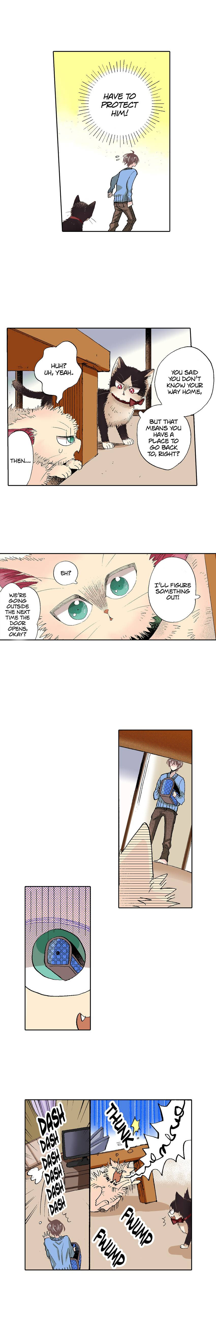 Read My Roommate is a Cat chapter 55 image 8 on Lezhin