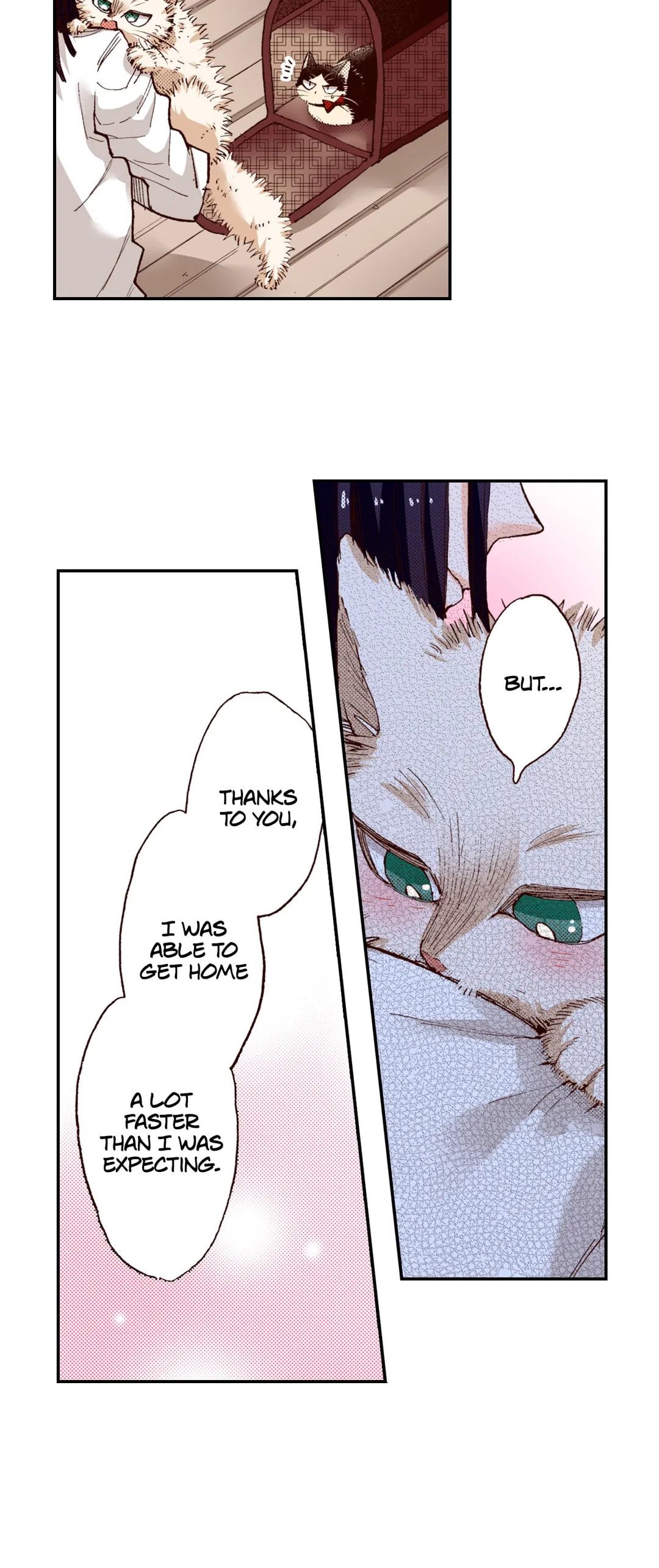 Read My Roommate is a Cat chapter 59 image 10 on Lezhin