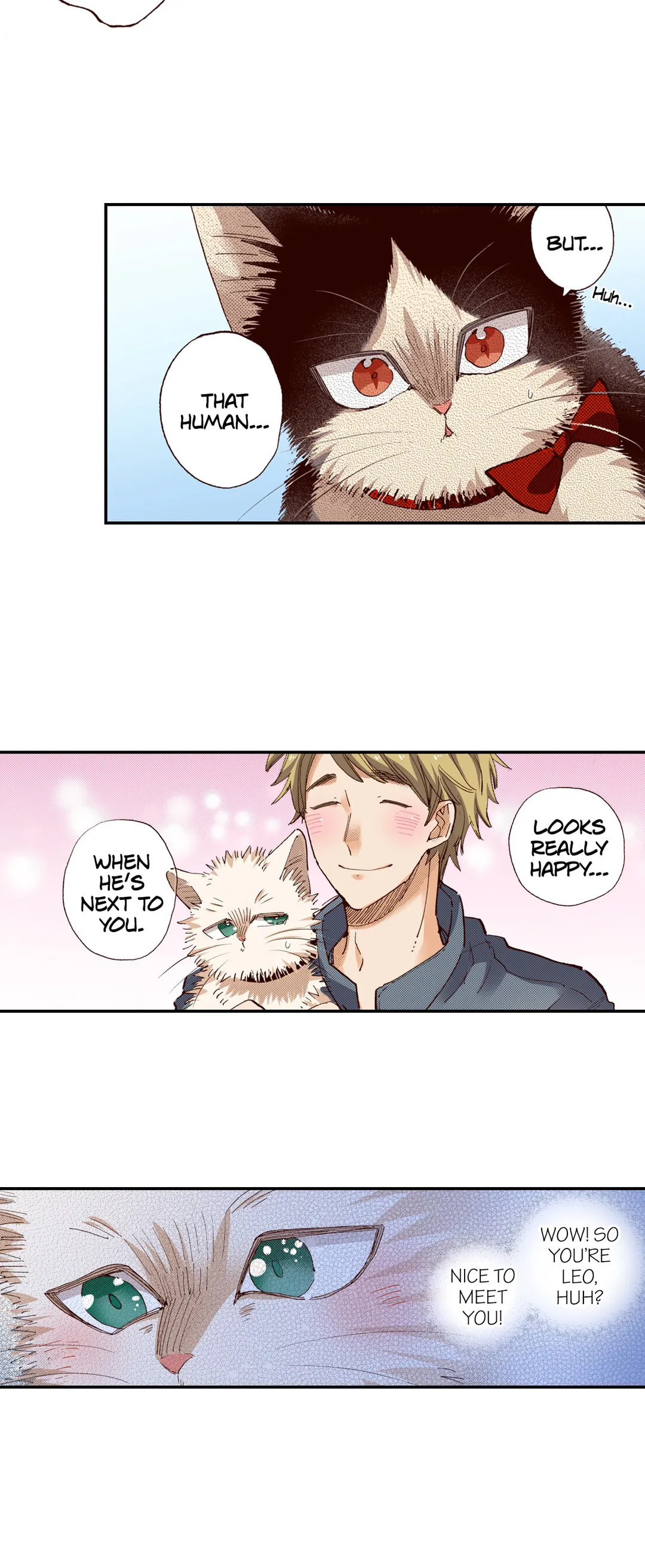 Read My Roommate is a Cat chapter 59 image 16 on Lezhin