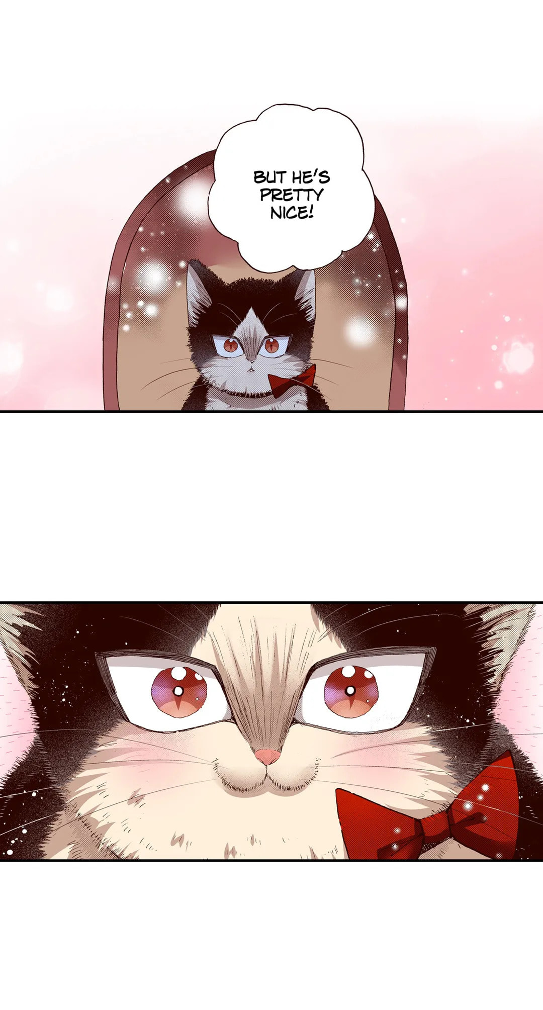 Read My Roommate is a Cat chapter 59 image 24 on Lezhin