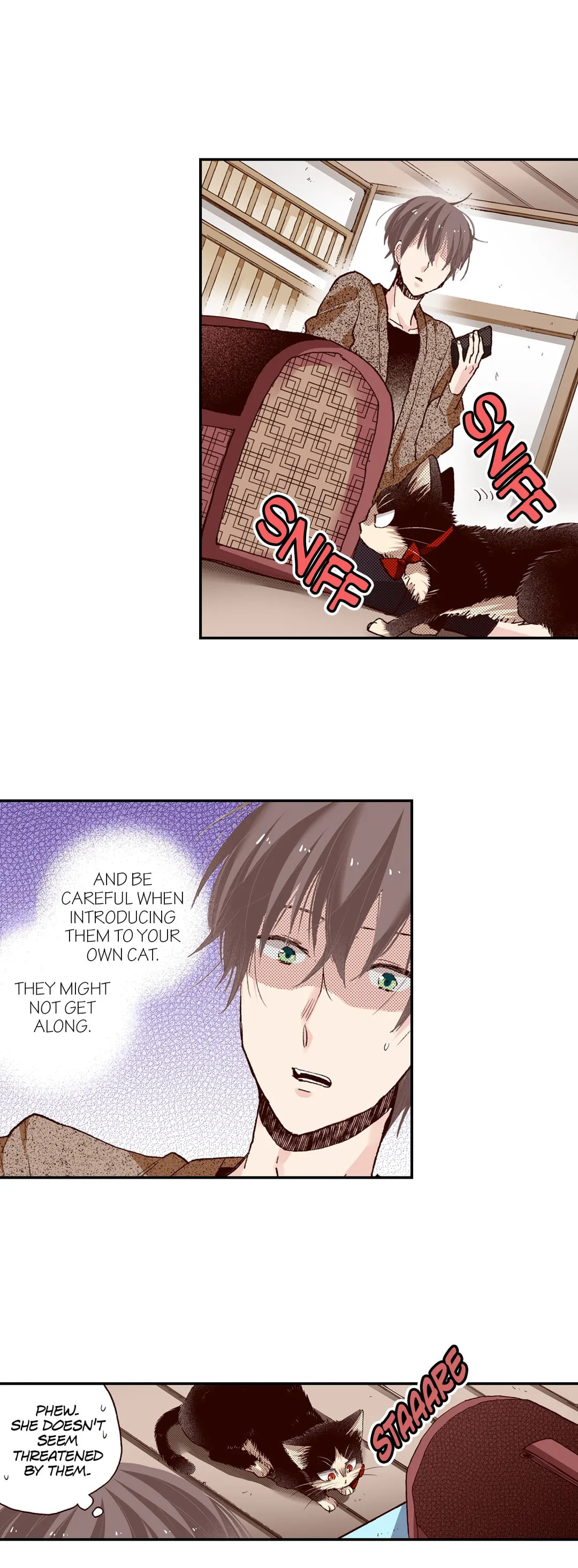 Read My Roommate is a Cat chapter 61 image 28 on Lezhin