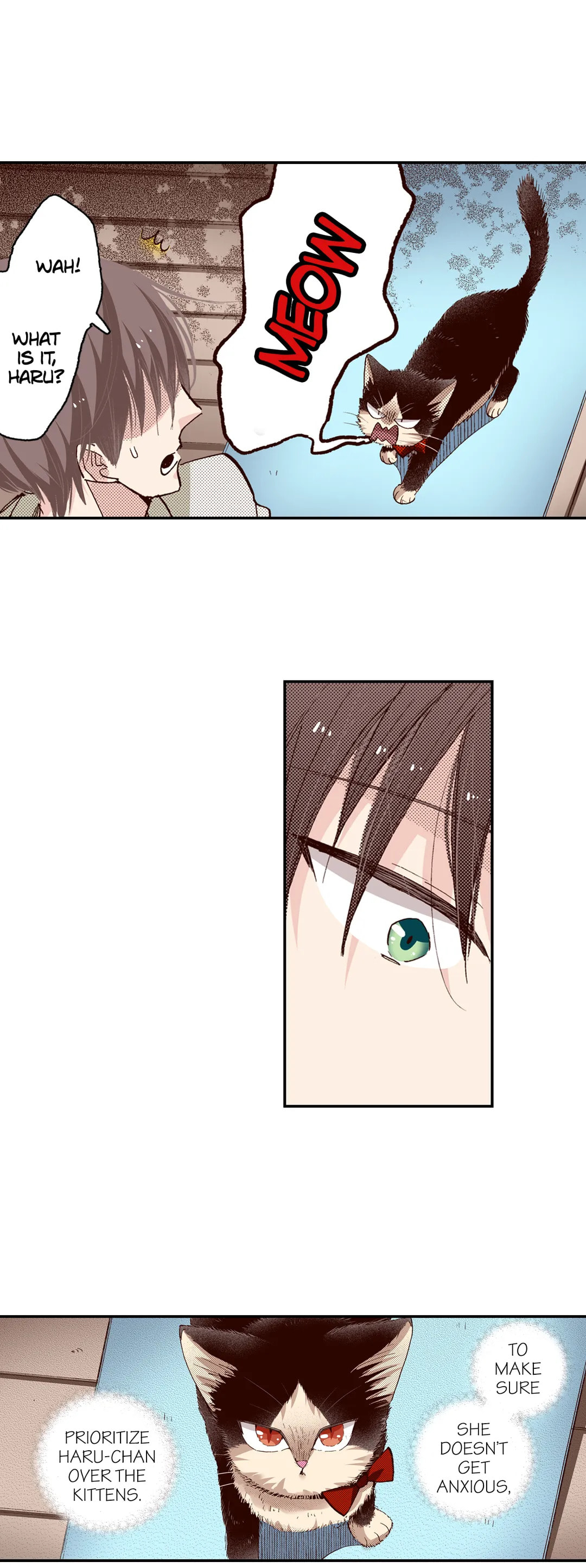 Read My Roommate is a Cat chapter 62 image 10 on Lezhin