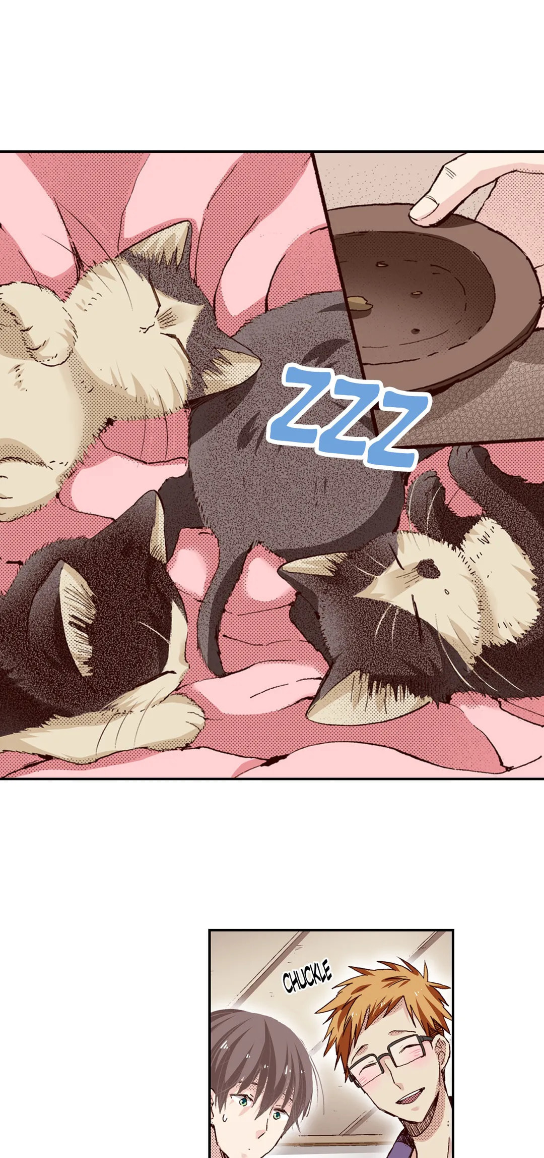 Read My Roommate is a Cat chapter 63 image 2 on Lezhin