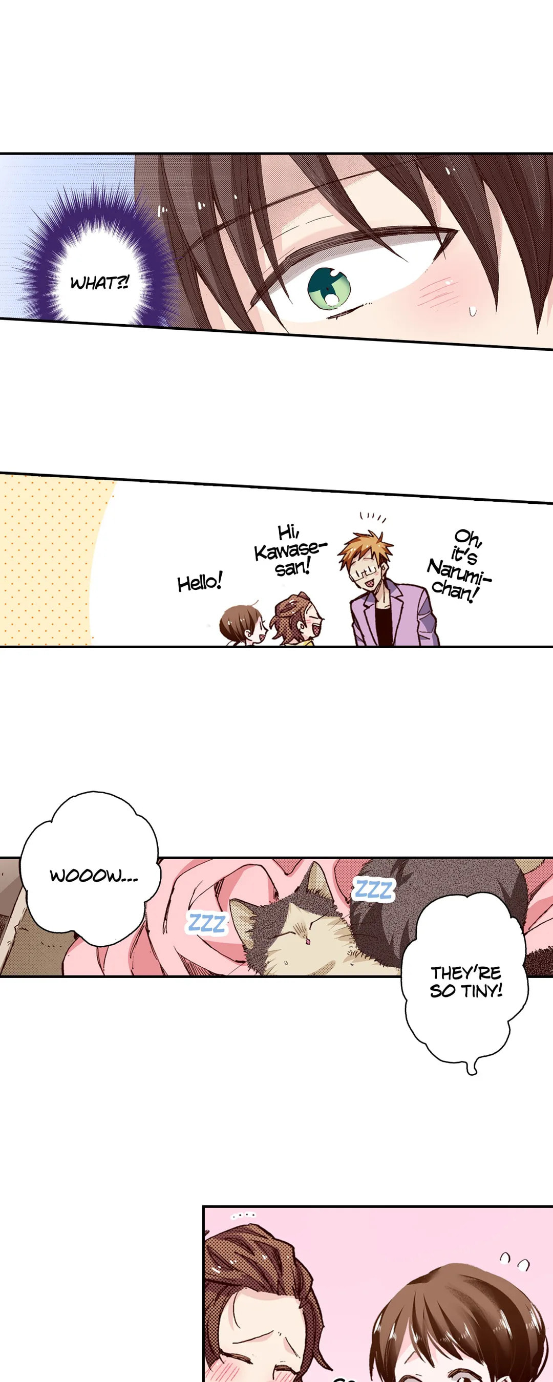 Read My Roommate is a Cat chapter 63 image 6 on Lezhin