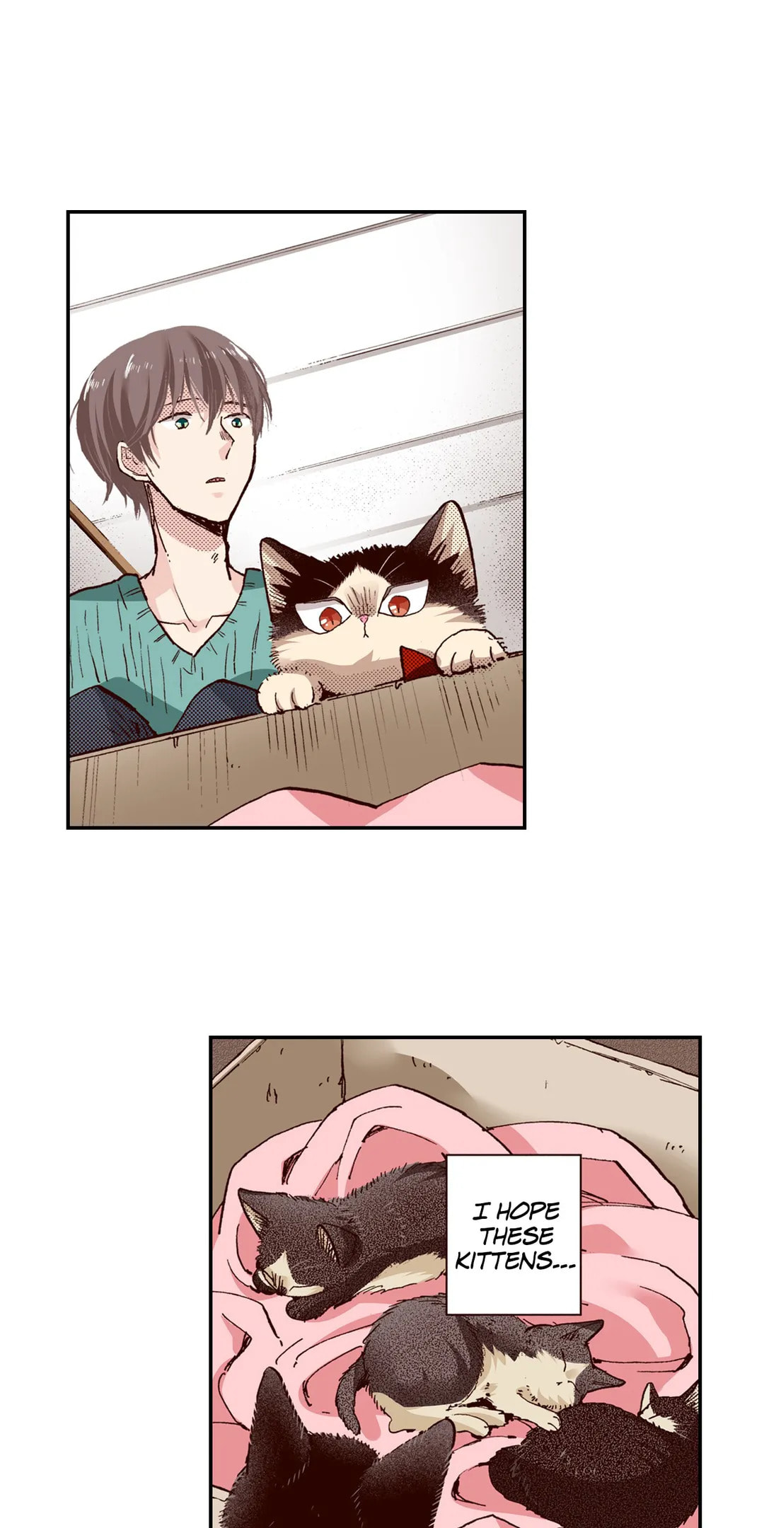 Read My Roommate is a Cat chapter 64 image 12 on Lezhin