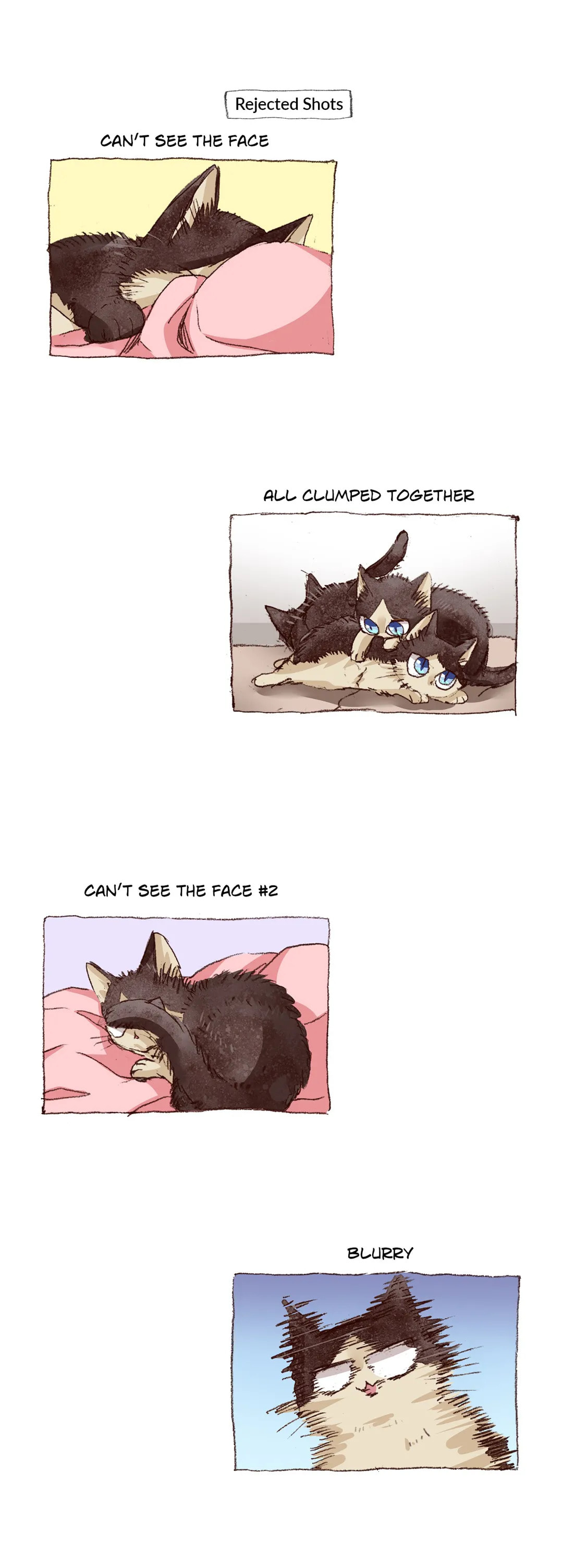 Read My Roommate is a Cat chapter 64 image 17 on Lezhin