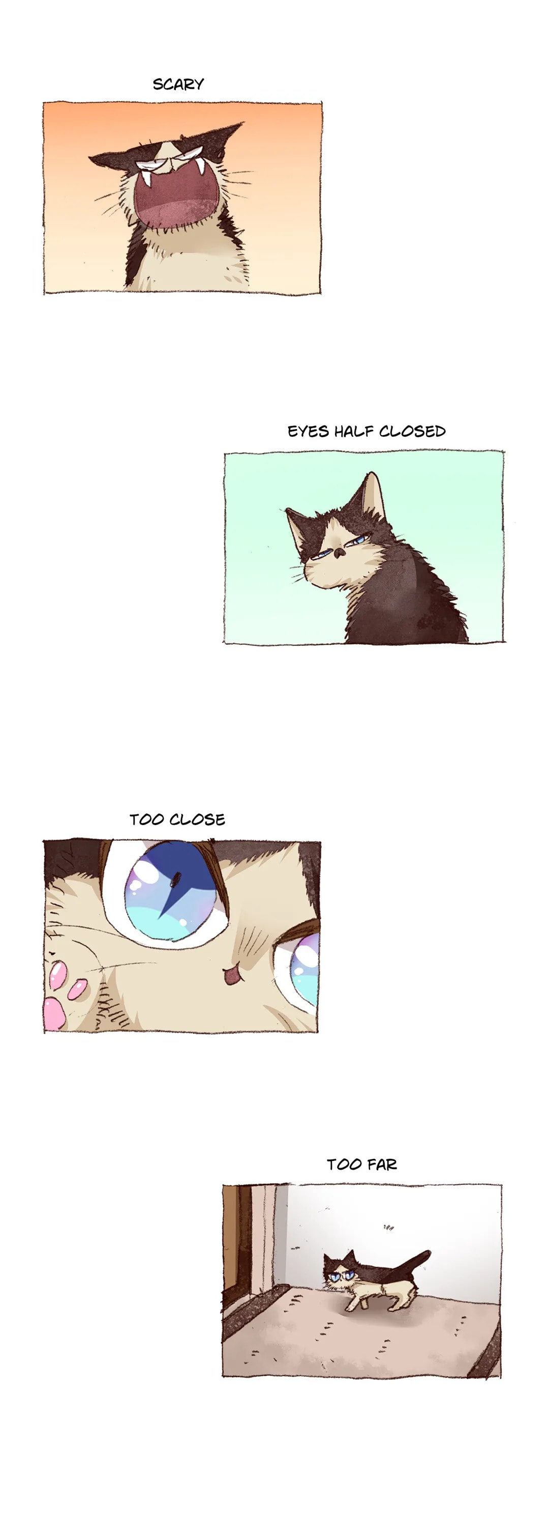 Read My Roommate is a Cat chapter 64 image 18 on Lezhin
