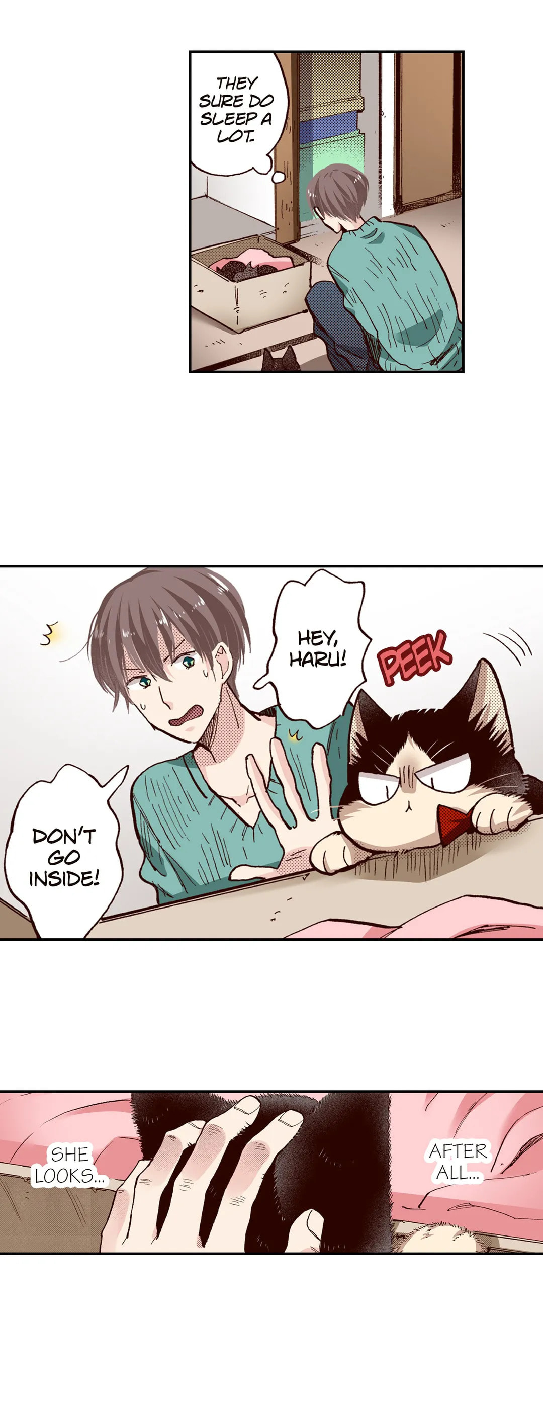 Read My Roommate is a Cat chapter 64 image 9 on Lezhin