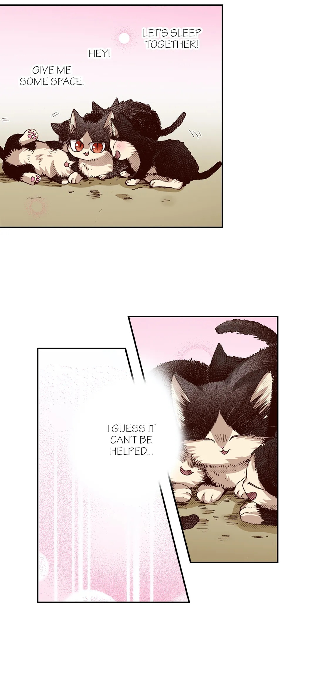 Read My Roommate is a Cat chapter 65 image 12 on Lezhin
