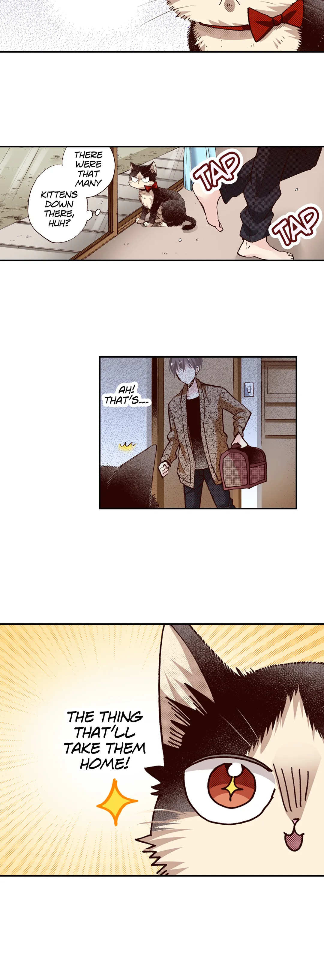 Read My Roommate is a Cat chapter 65 image 4 on Lezhin