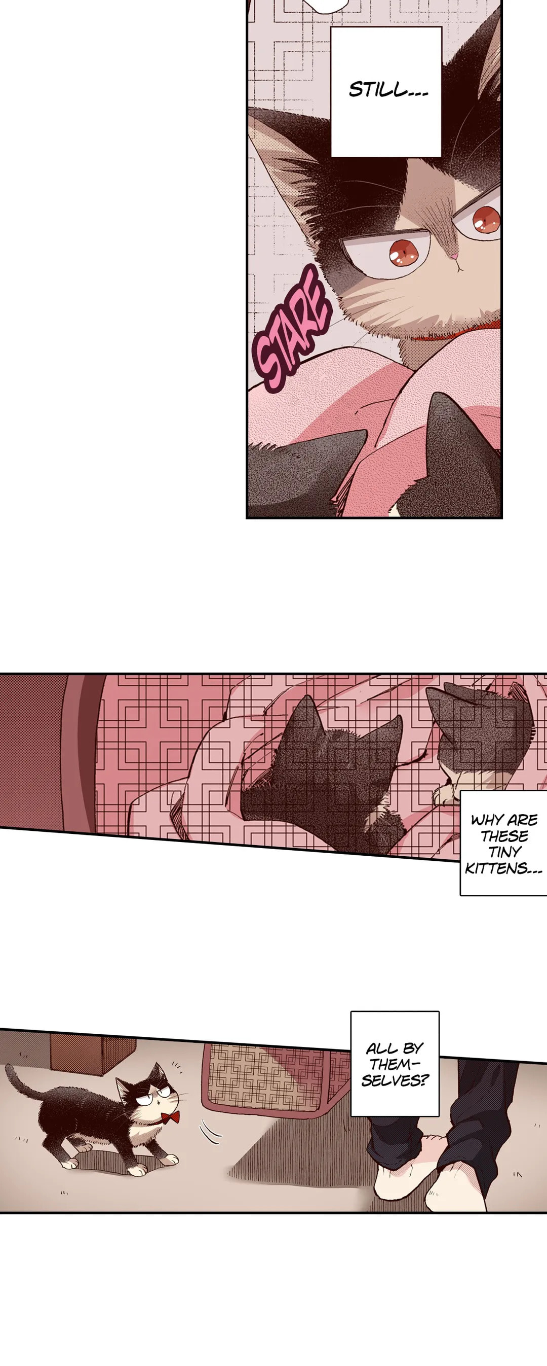 Read My Roommate is a Cat chapter 65 image 6 on Lezhin