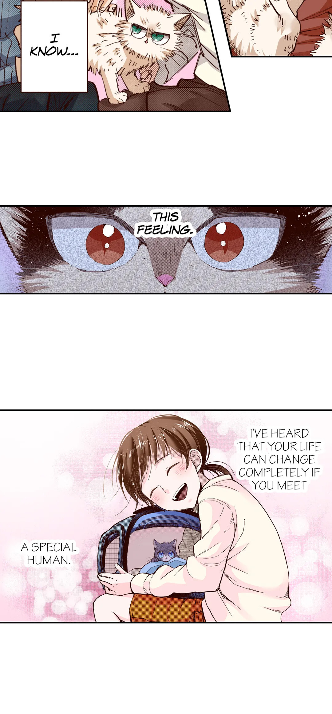Read My Roommate is a Cat chapter 66 image 4 on Lezhin