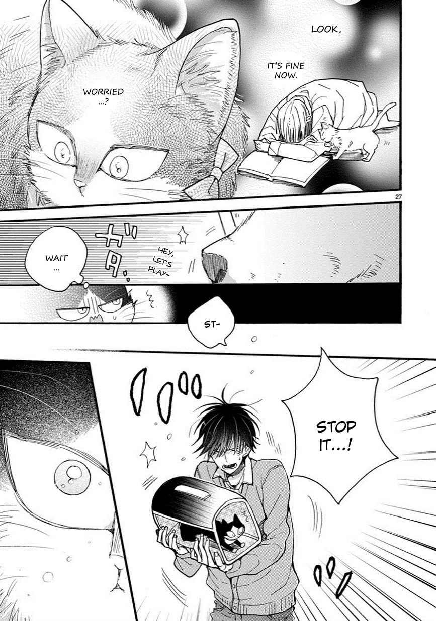 Read My Roommate is a Cat chapter 7.2 image 11 on Lezhin
