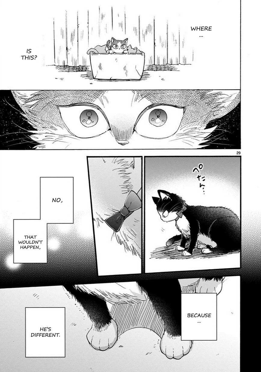Read My Roommate is a Cat chapter 7.2 image 13 on Lezhin