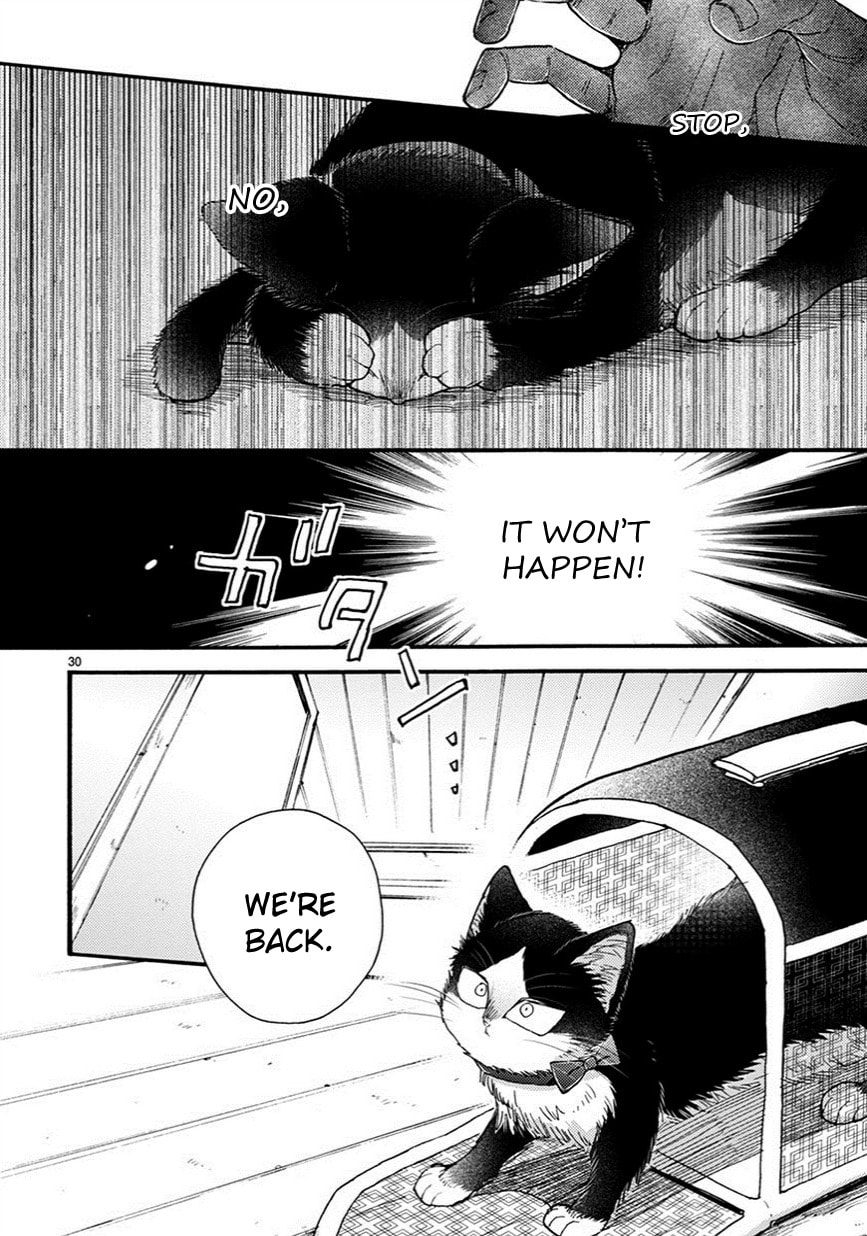 Read My Roommate is a Cat chapter 7.2 image 14 on Lezhin