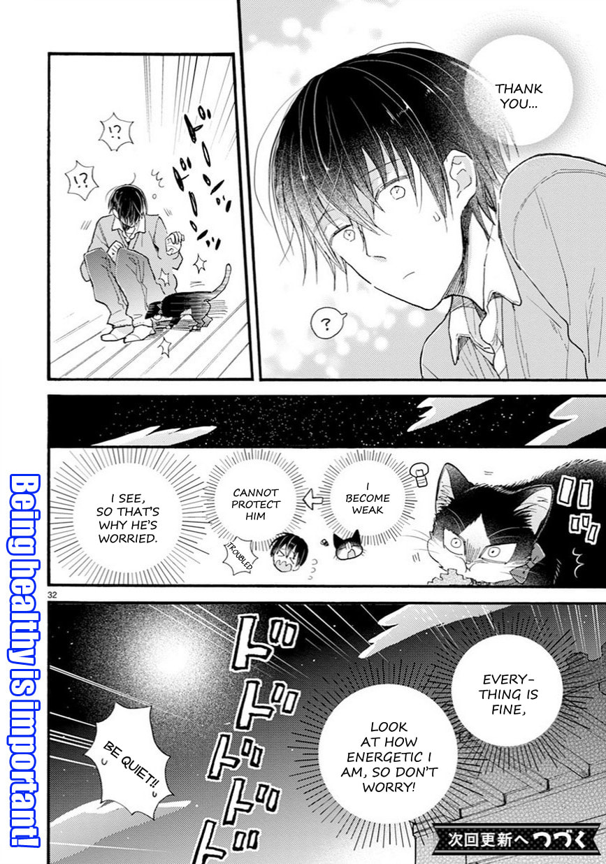 Read My Roommate is a Cat chapter 7.2 image 16 on Lezhin