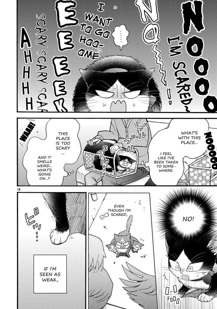 Read My Roommate is a Cat chapter 7.2 image 2 on Lezhin