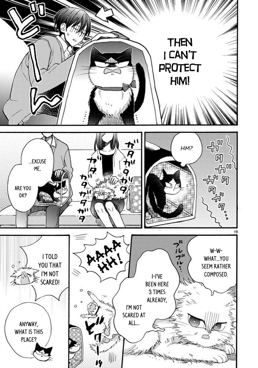 Read My Roommate is a Cat chapter 7.2 image 3 on Lezhin