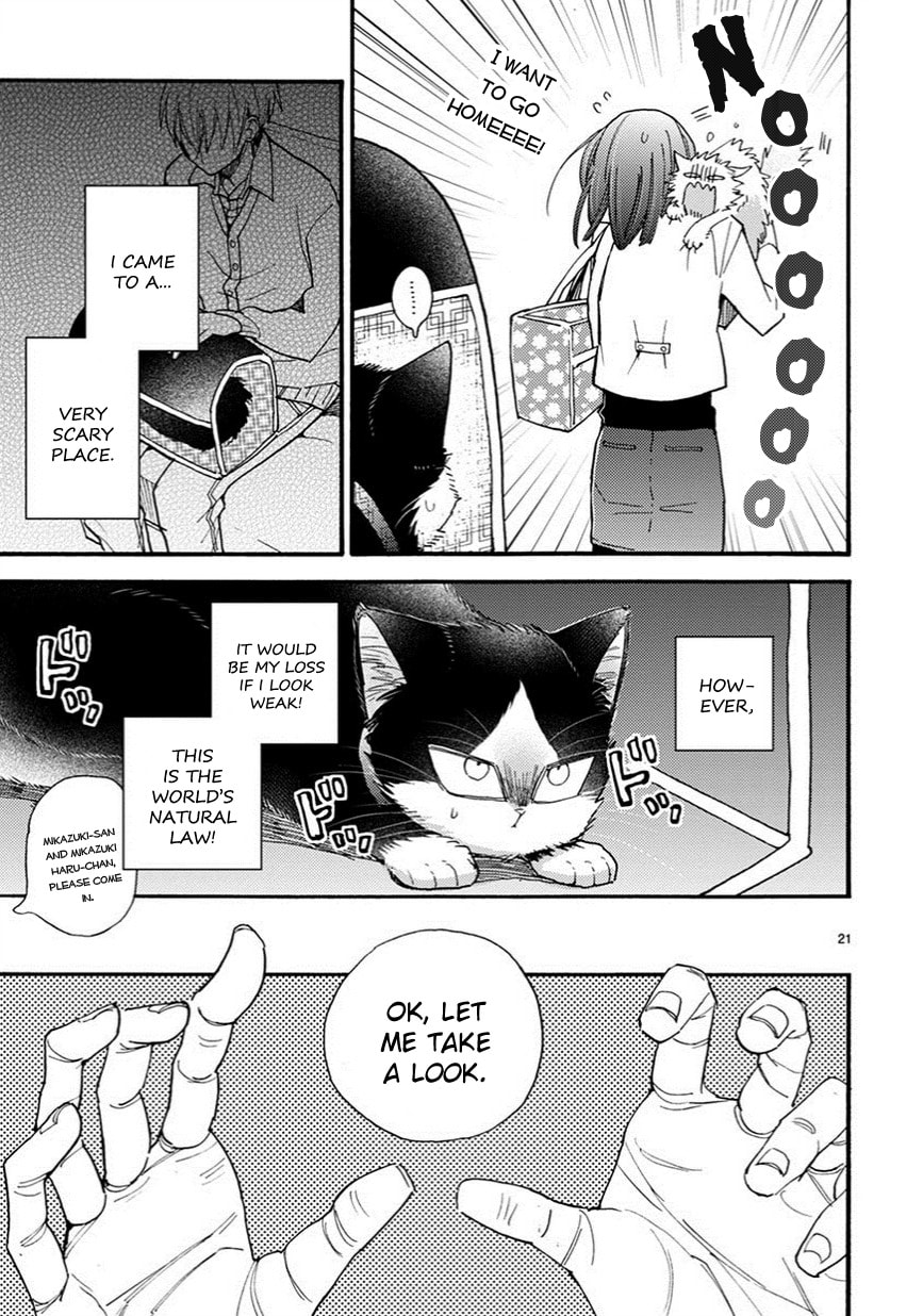 Read My Roommate is a Cat chapter 7.2 image 5 on Lezhin