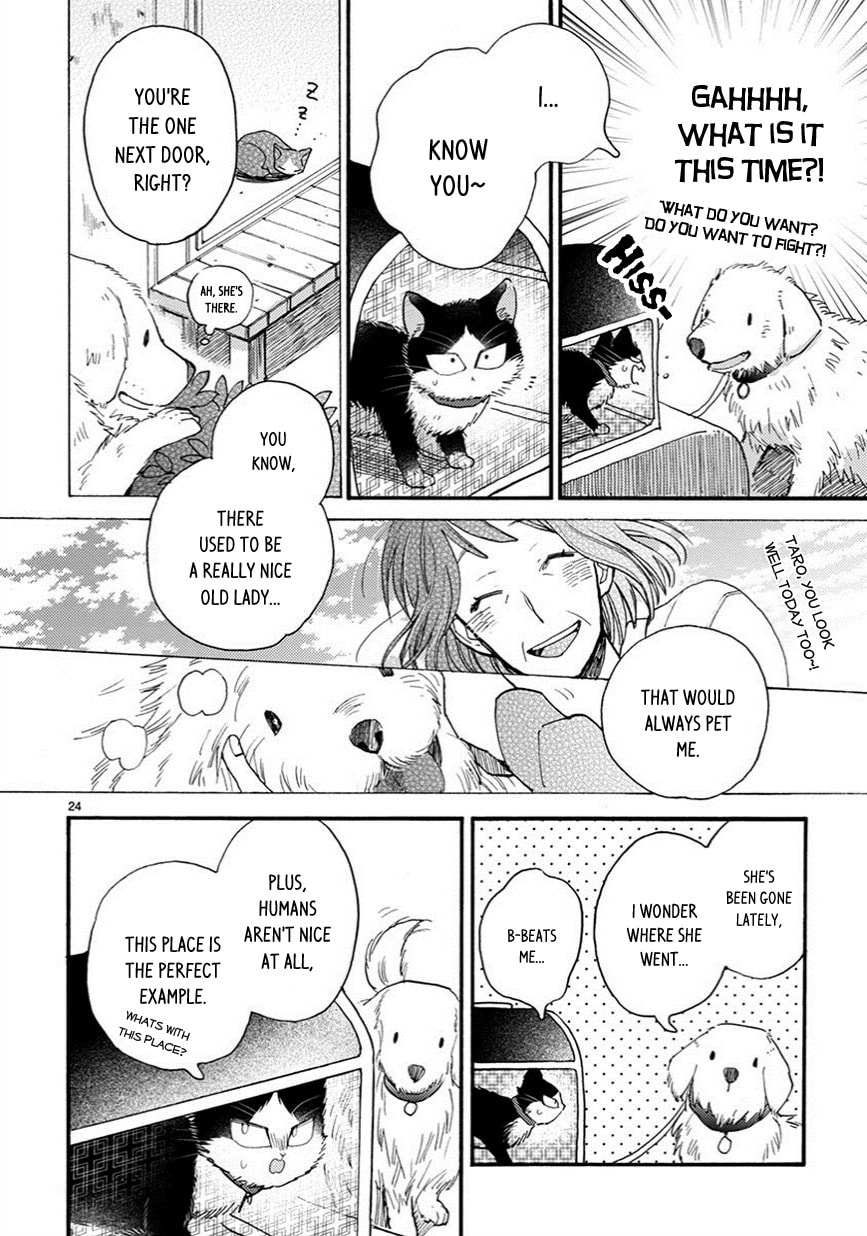 Read My Roommate is a Cat chapter 7.2 image 8 on Lezhin